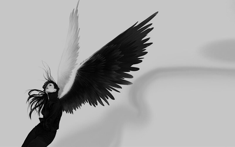 angel with black and white wings