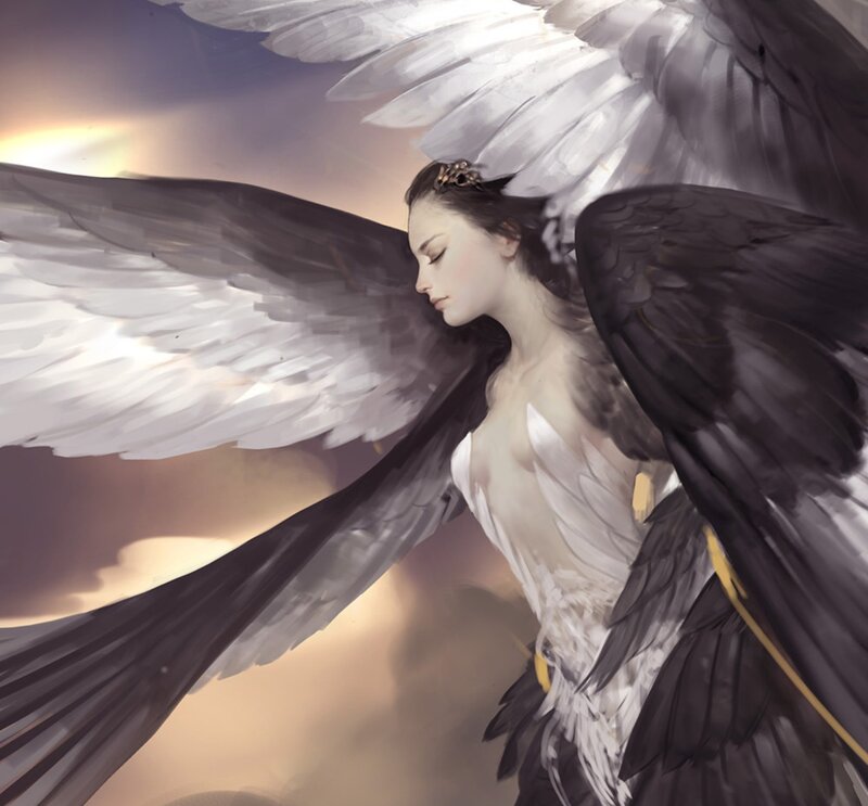Angel with Black and White Wings — Serene