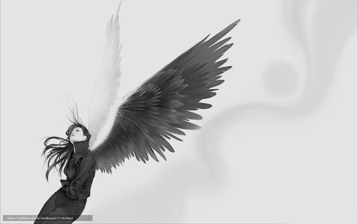 Angel with black and white wings
