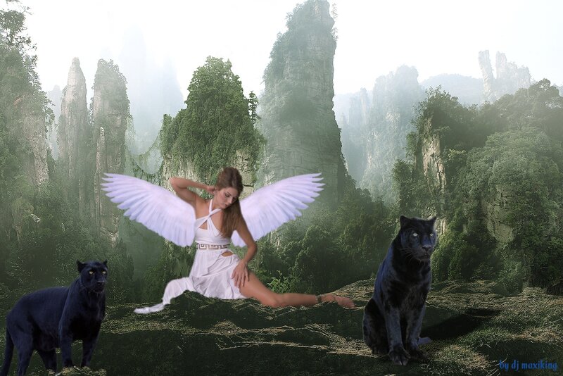 Angel with Black Panthers