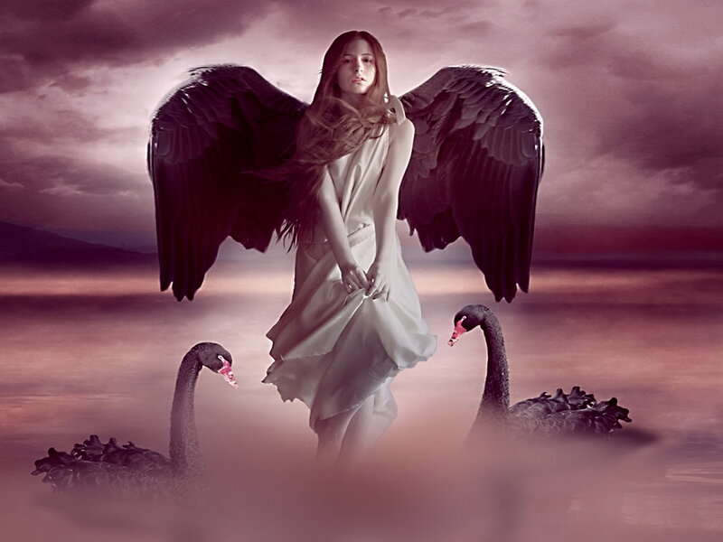 Angel with Black Swans