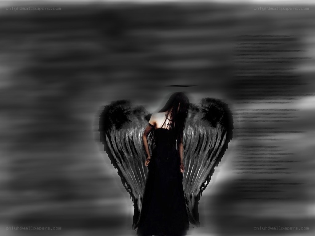 angel with black wings