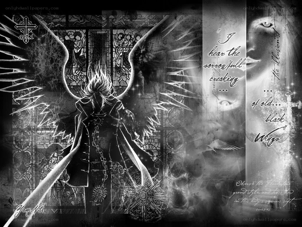 angel with black wings