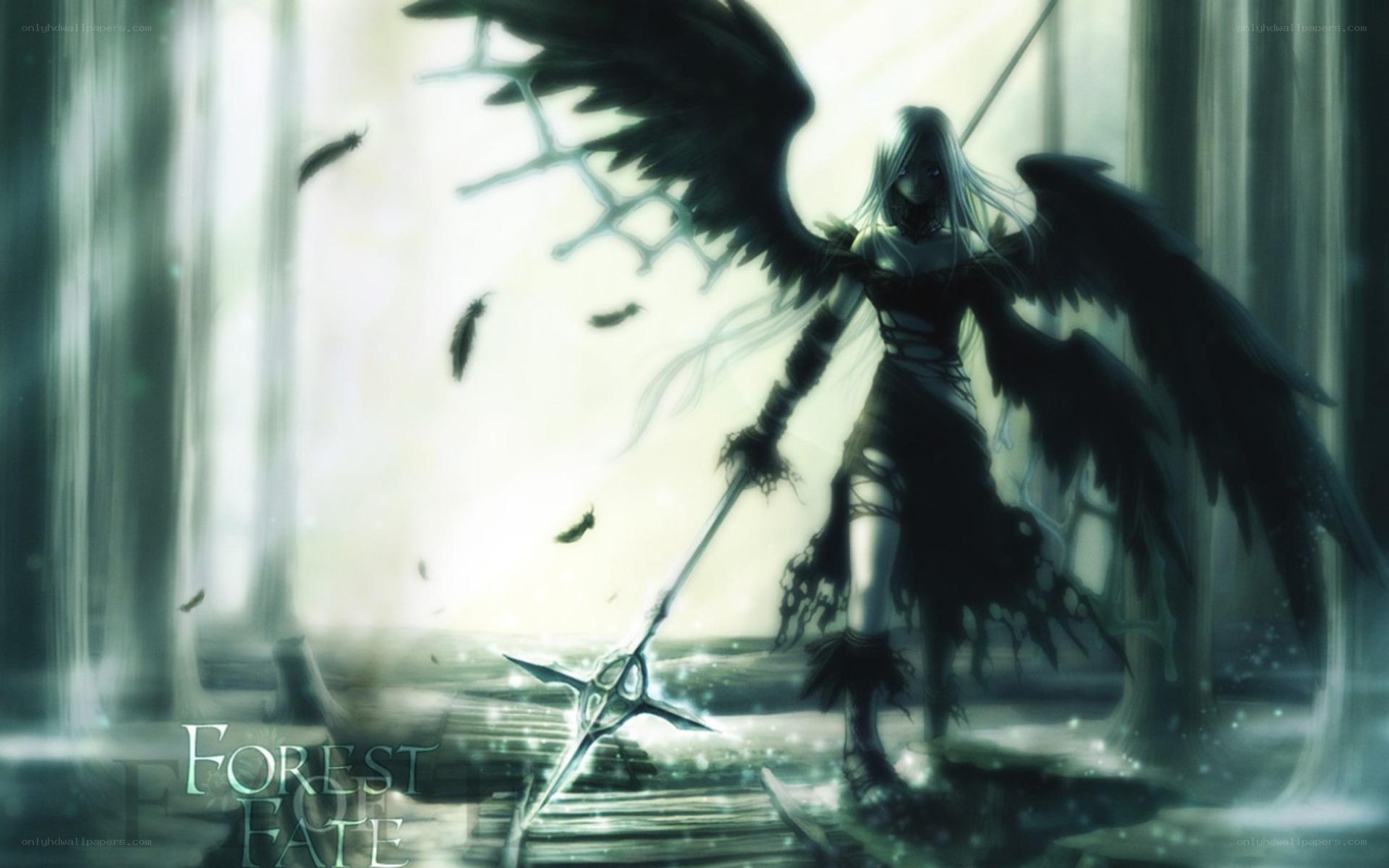angel with black wings