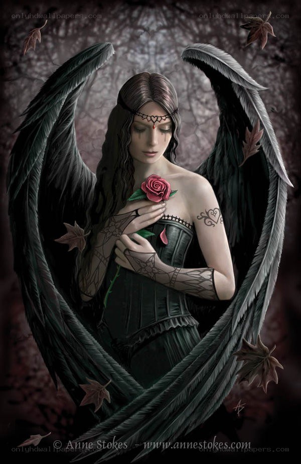 Angel with black wings