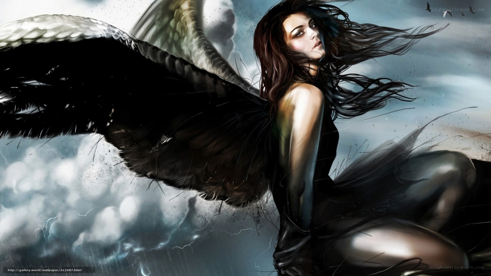 Angel with black wings