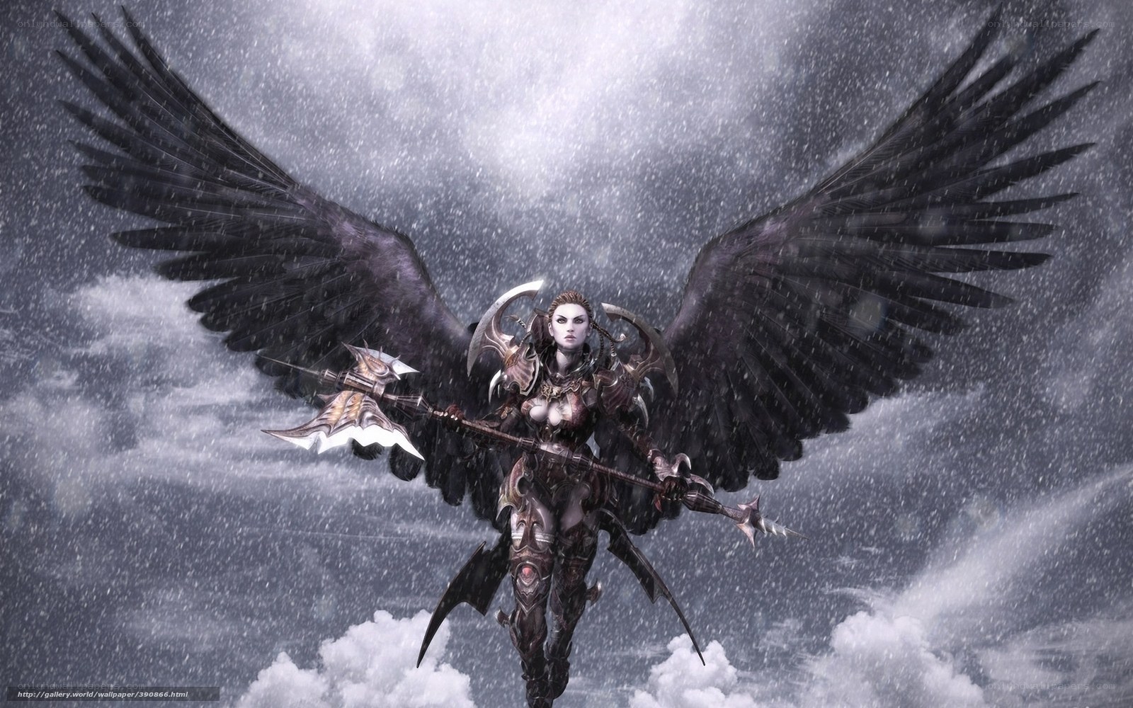 angel with black wings