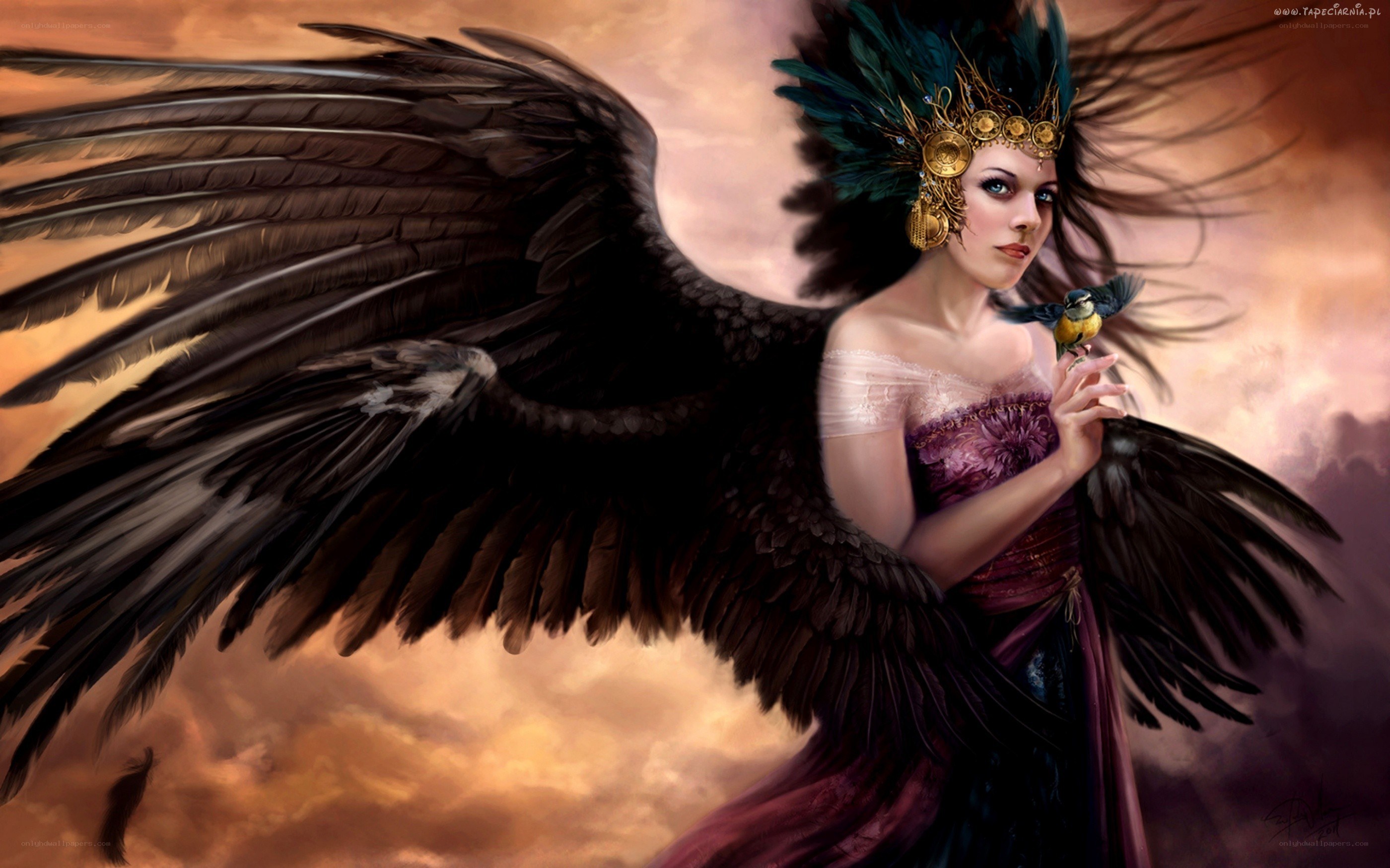 angel with black wings