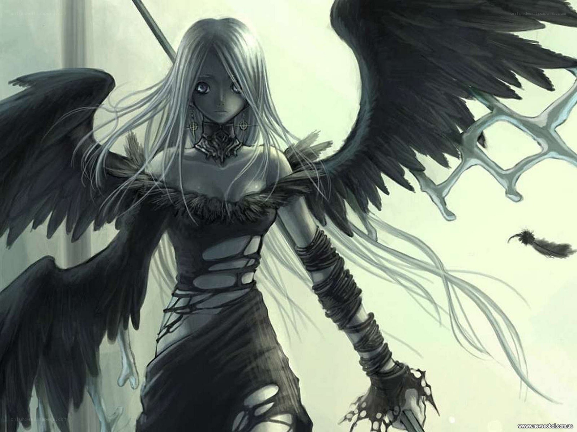 angel with black wings