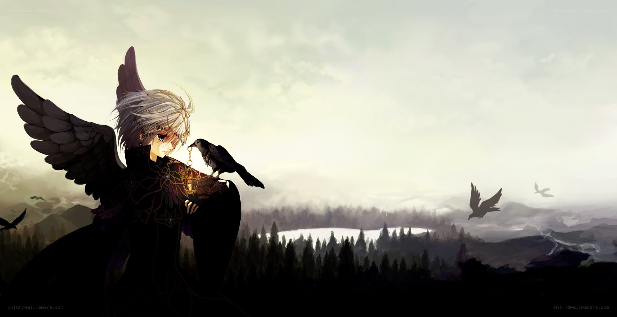 angel with black wings and crow