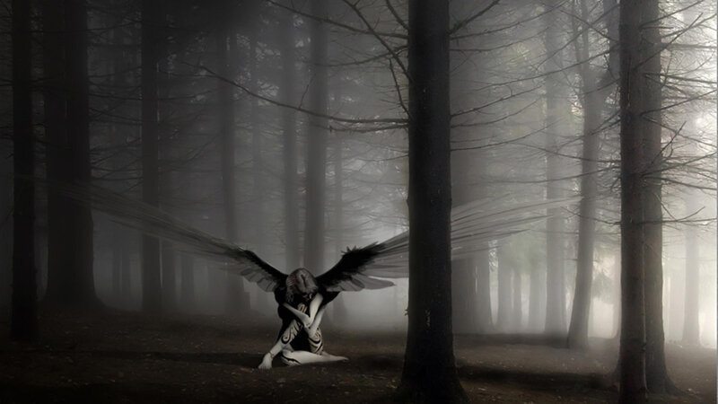 Angel with Black Wings — Dark, Night, Digital Art, Forest