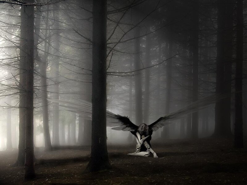Angel with Black Wings — Dark, Night, Digital Art, Forest, Trees, Fog