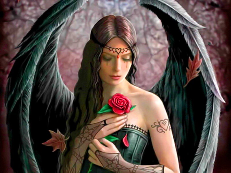 Angel with Black Wings — Dramatic, Digital Art, Rose, Tattoo