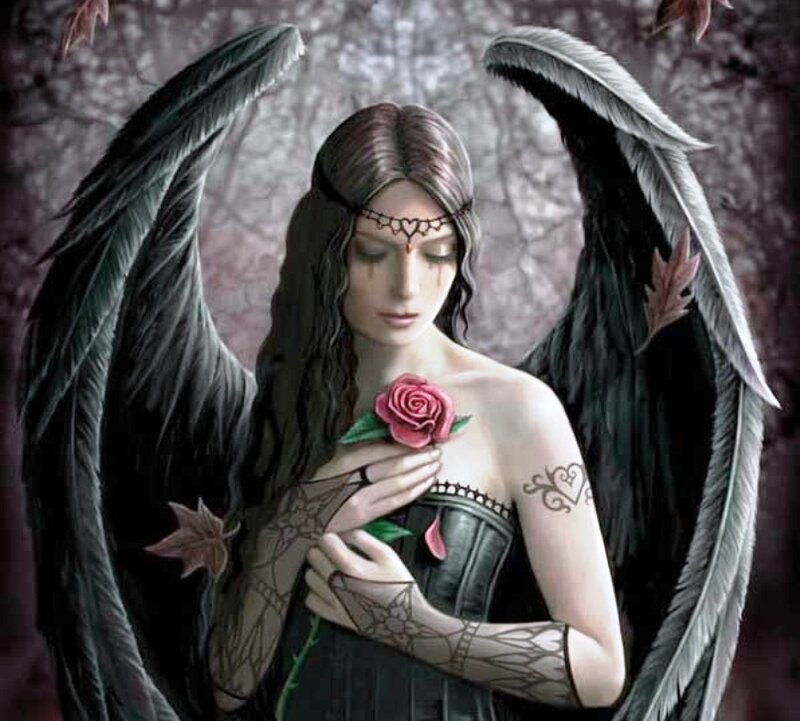 Angel with Black Wings — Dramatic, Digital Art, Rose