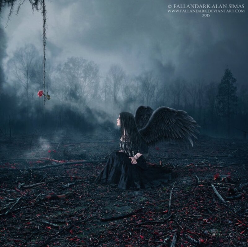 Angel with Black Wings — Dramatic, Night, Digital Art, Rose