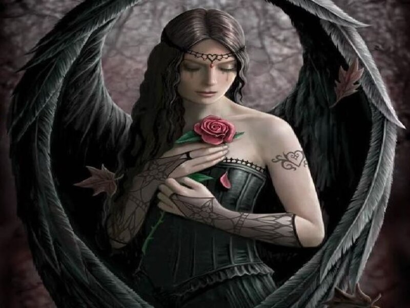 angel with black wings holding rose