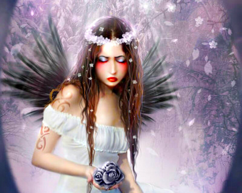 Angel with Black Wings — Purple, Dramatic, Digital Art