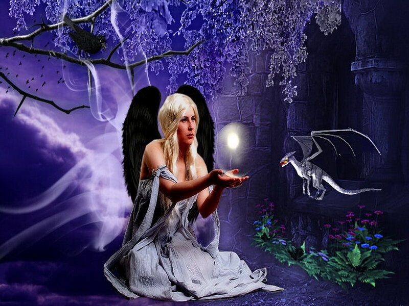 Angel with Black Wings — Purple, Dramatic, Night, Digital Art, Dragon