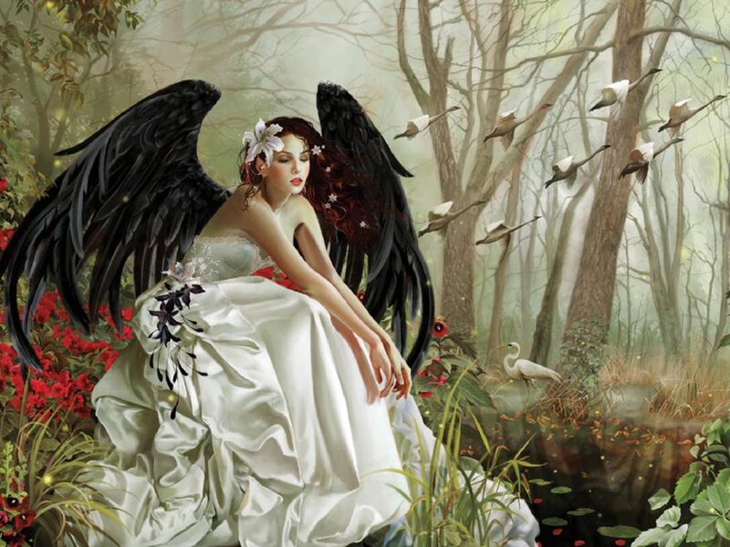 Angel with Black Wings — White, Serene, Morning, Digital Art, Birds, Forest