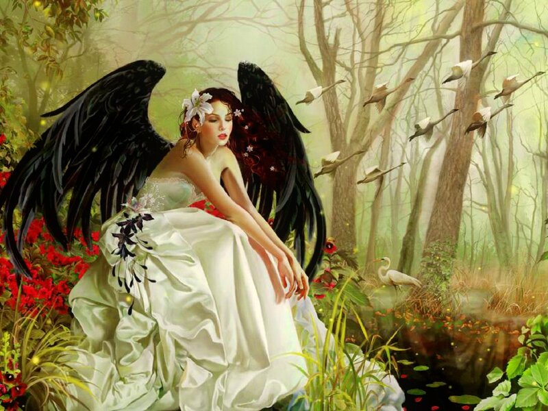 Angel with Black Wings — White, Serene, Morning, Digital Art, Birds