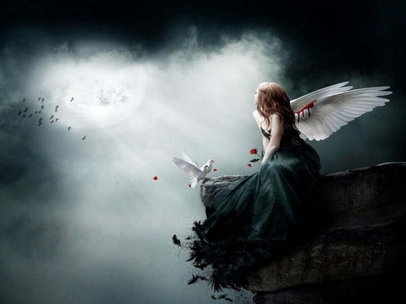 Angel with Bloodied Wings — Black, Dramatic, Night
