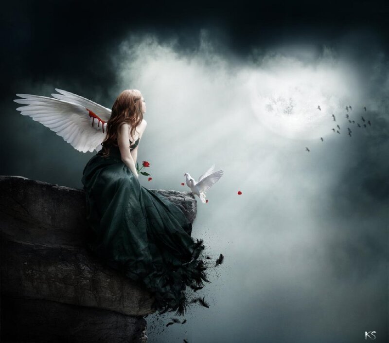 Angel with Bloodied Wings — Black, Dramatic