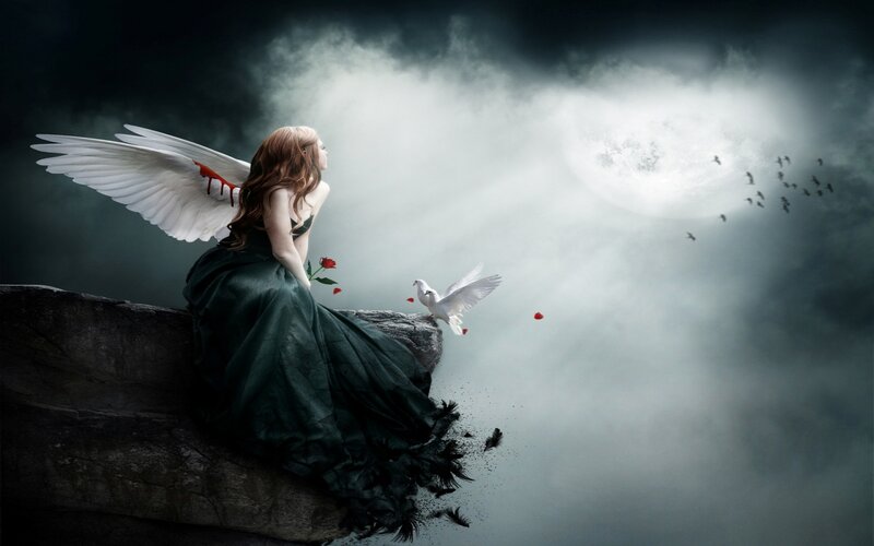 Angel with Bloodied Wings — Gray