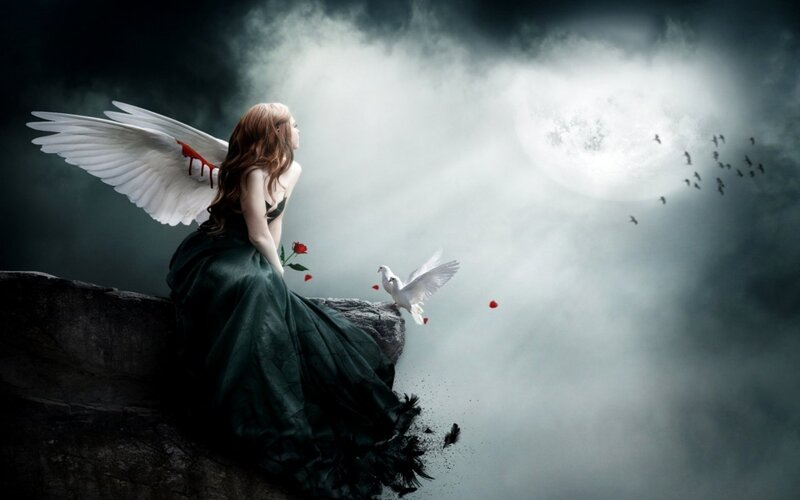 Angel with Bloodied Wings — White, Dramatic