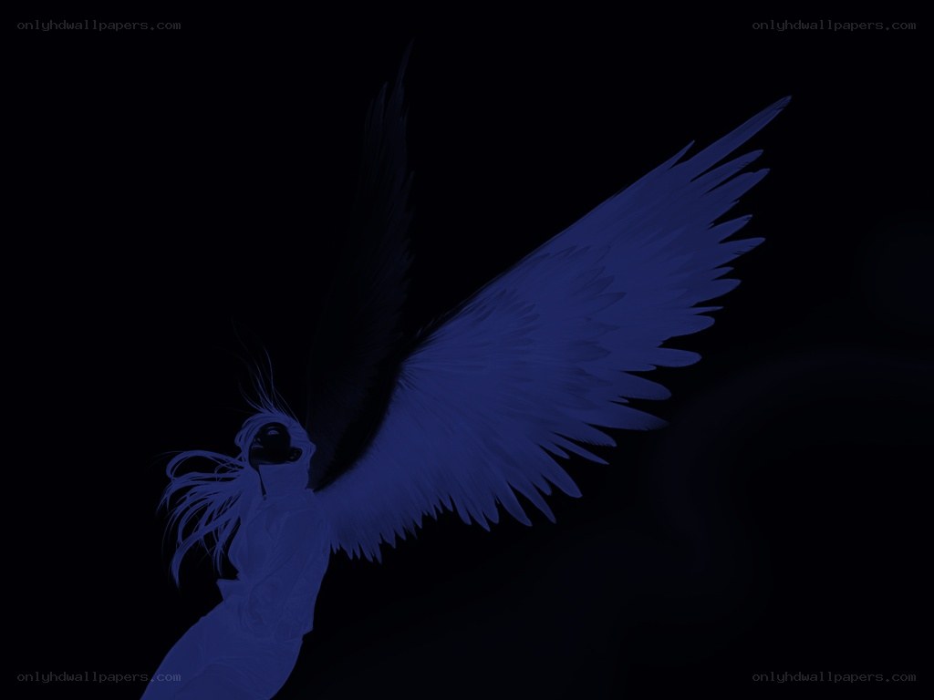 angel with blue wings