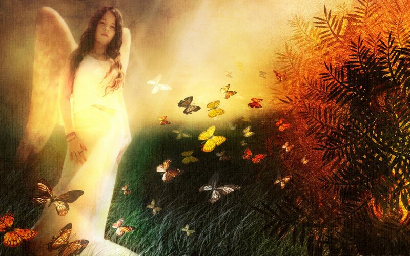 angel with butterflies in garden