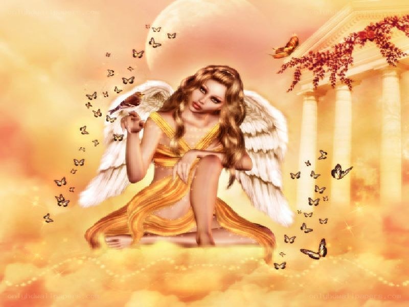 angel with butterfly and bird