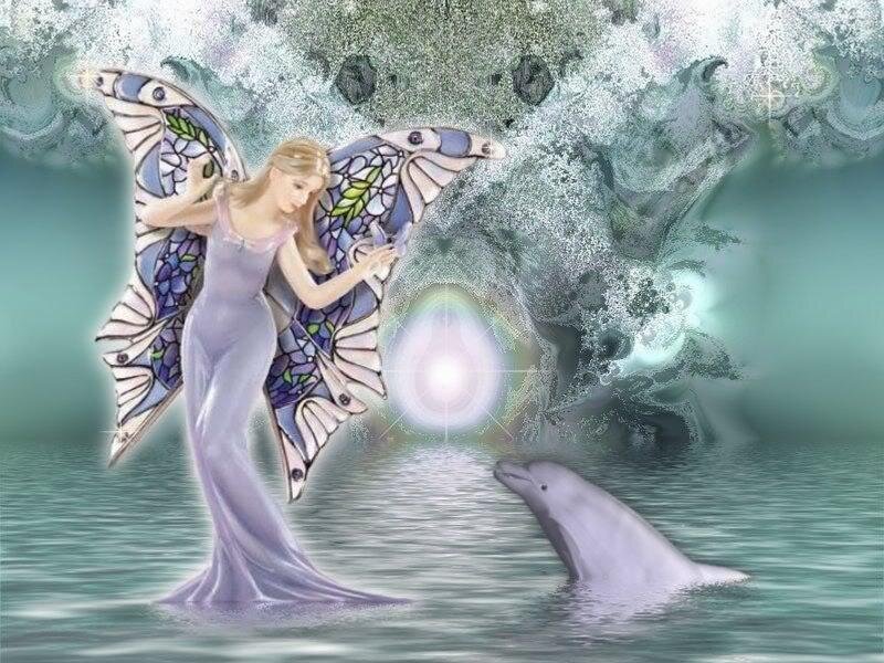 angel with butterfly wings and dolphin