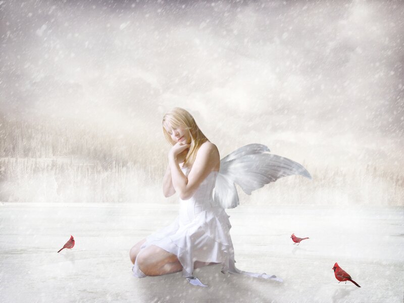Angel with Cardinal Birds