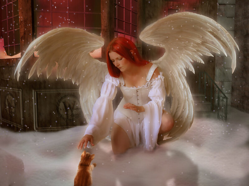 Angel with Cat — White