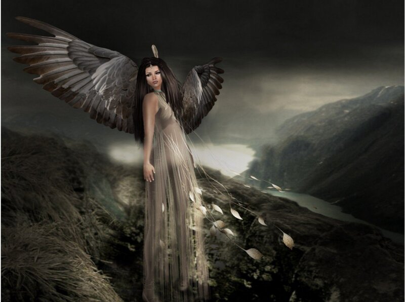Angel with Dark Wings — Gray