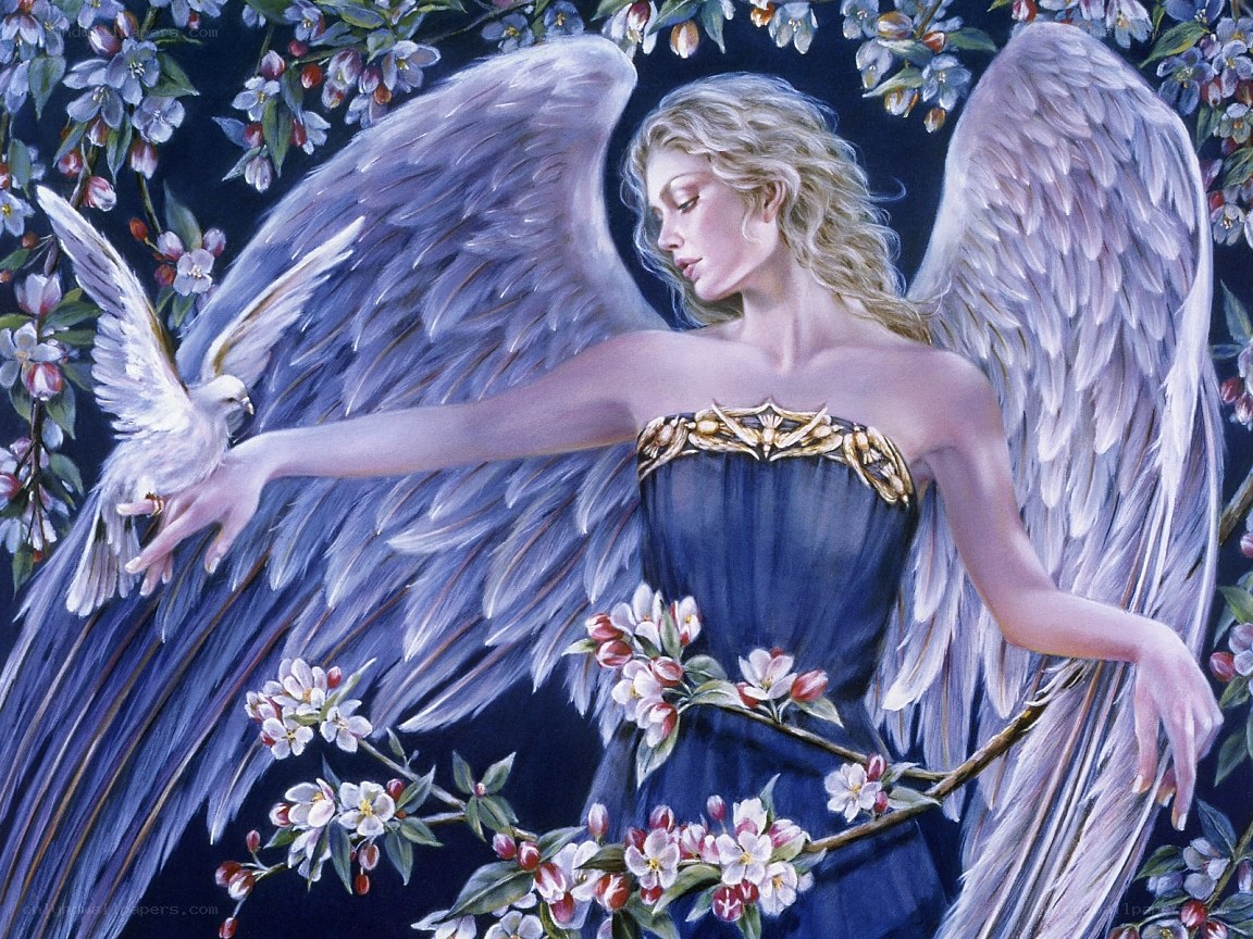 Angel with dove and blossoms