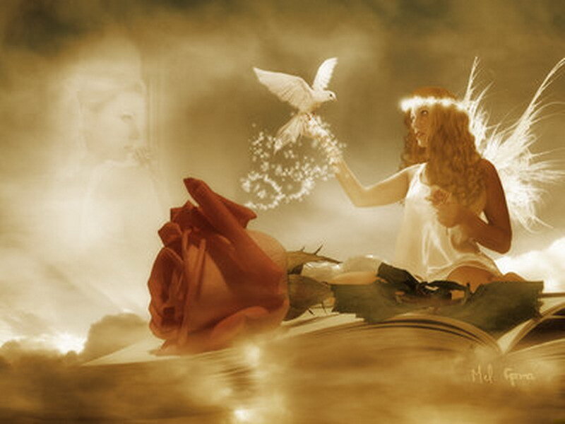 angel with dove and rose