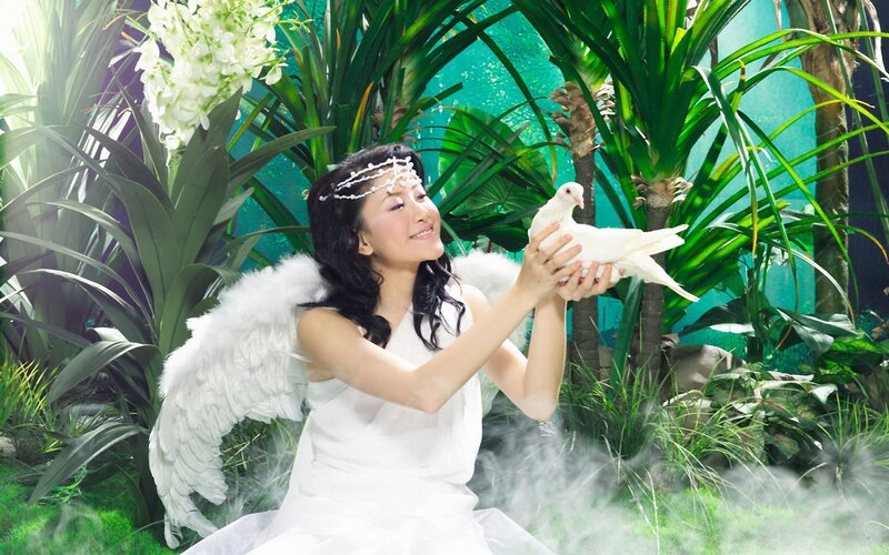 Angel with dove in garden