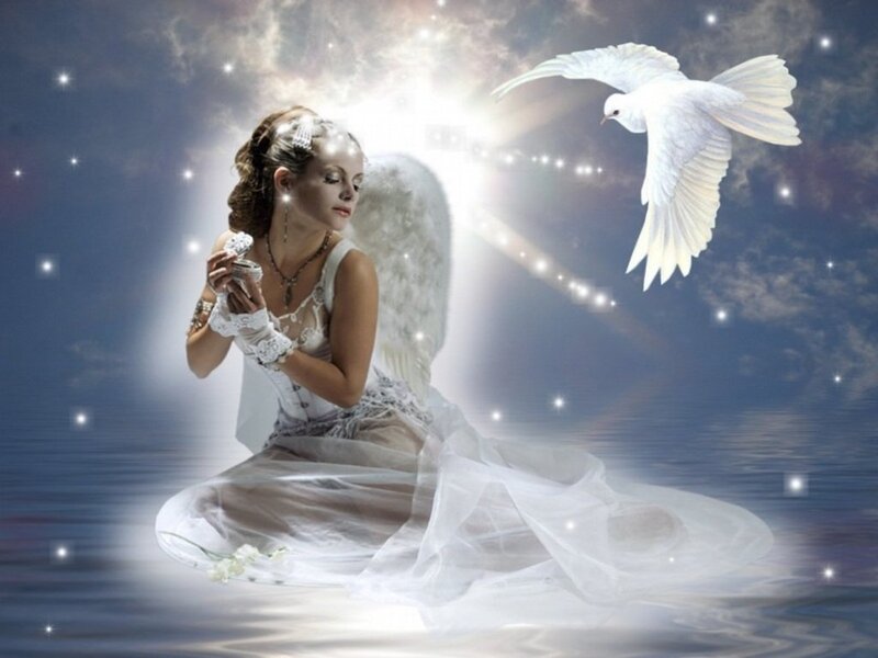 Angel with Dove