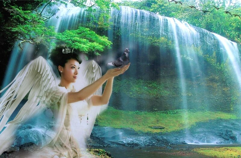 Angel with Dove — White, Serene, Afternoon