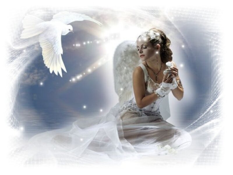 Angel with Dove — White, Serene