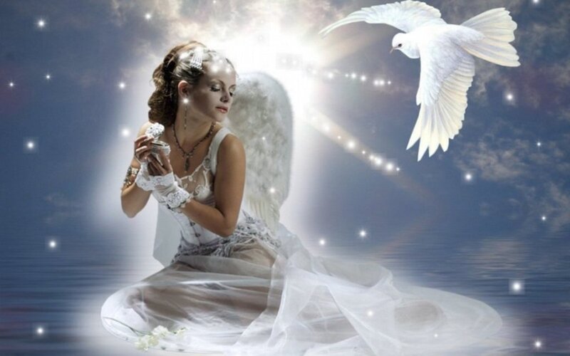 Angel with Dove — White