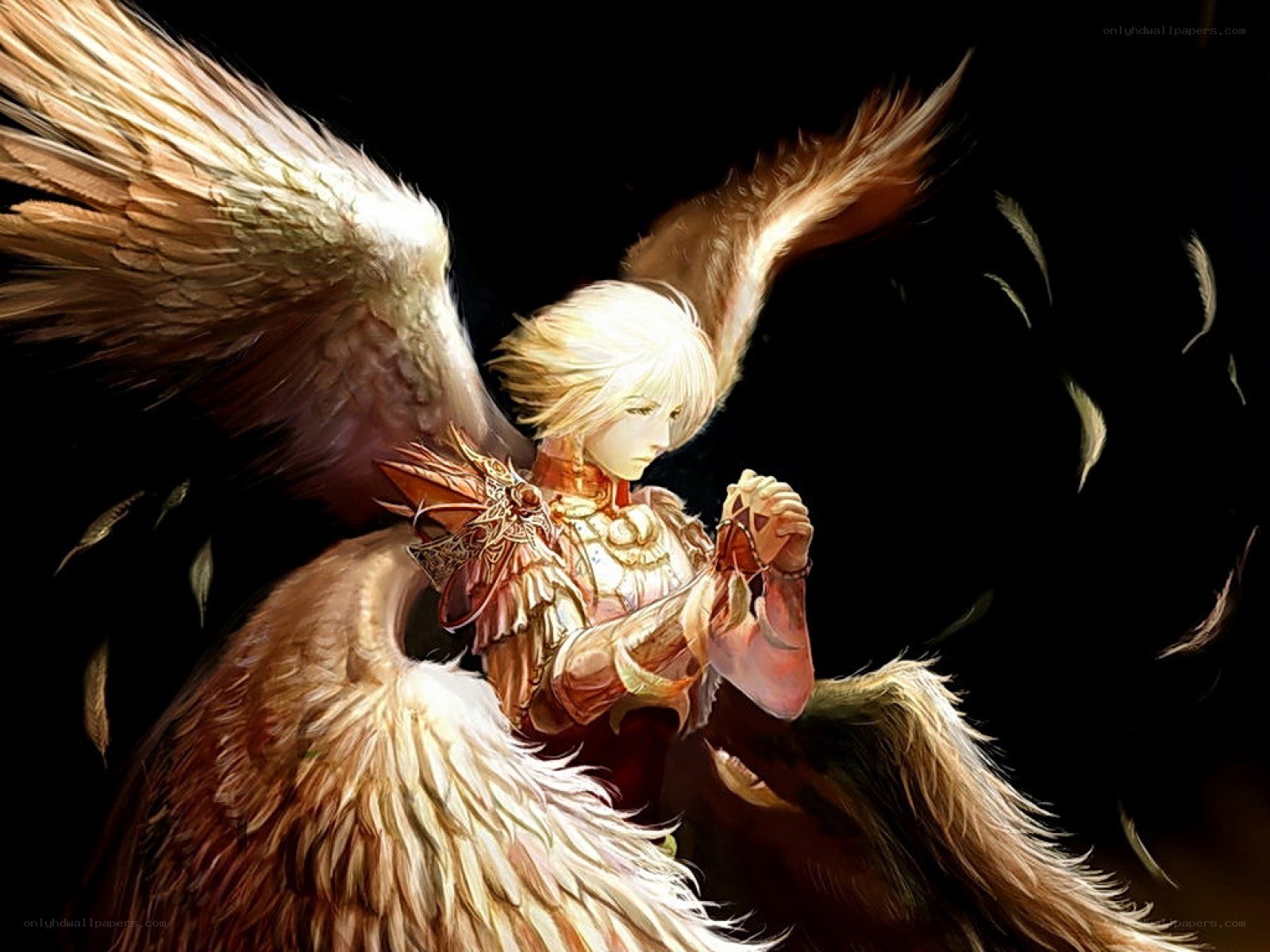 angel with feathered wings