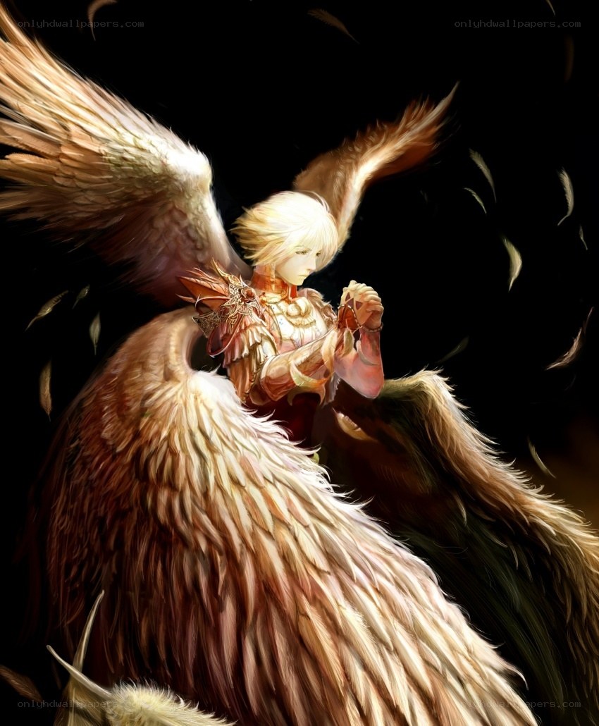 angel with feathered wings