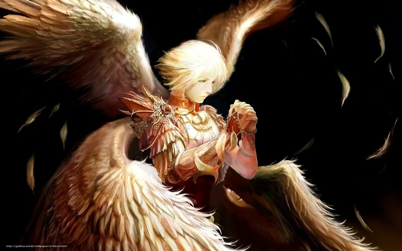 angel with feathered wings