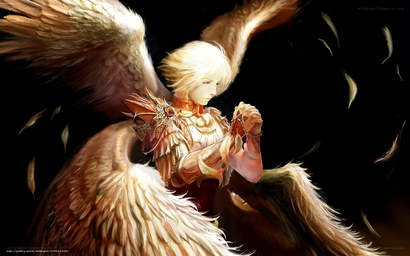 angel with feathered wings