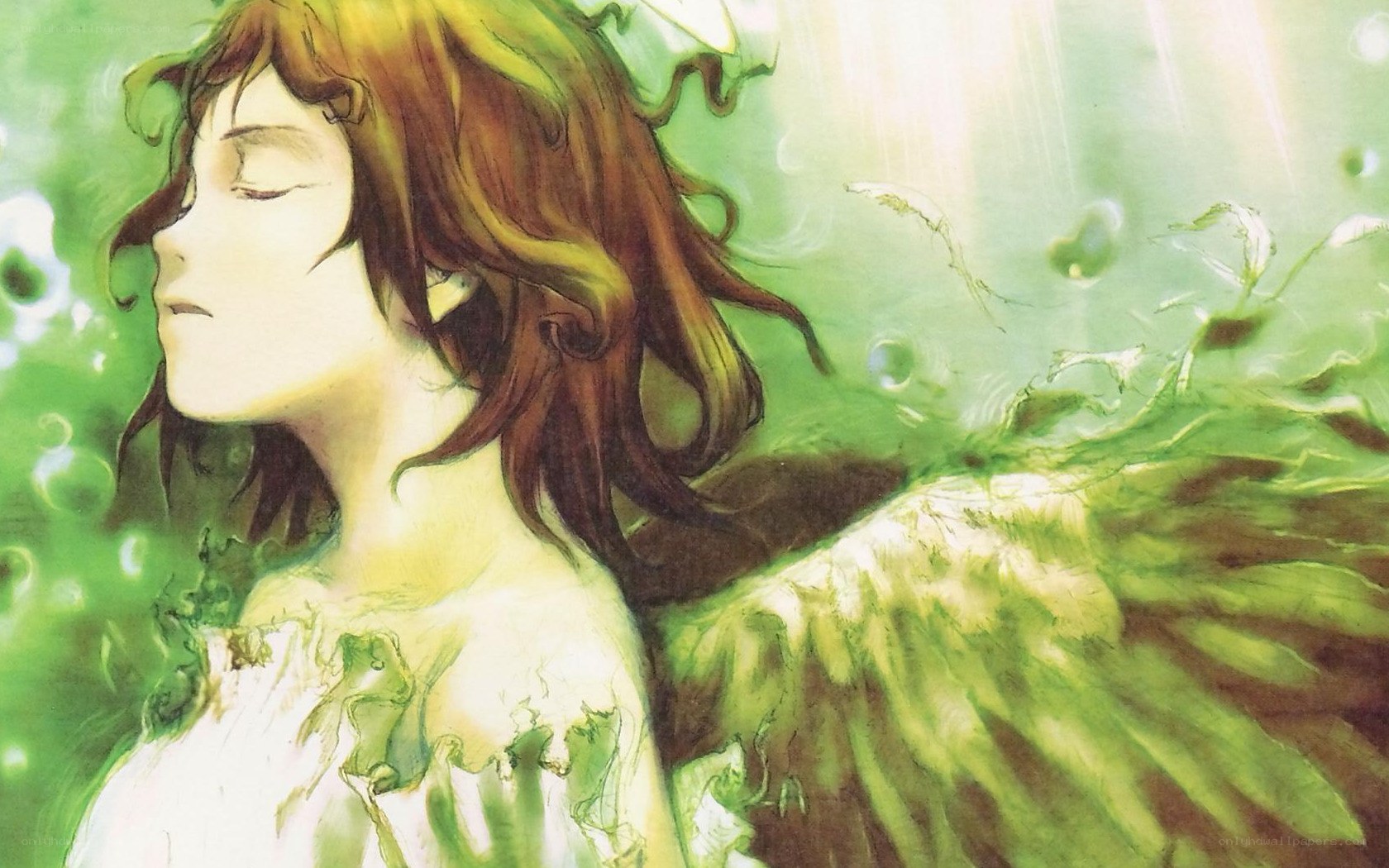 angel with green wings