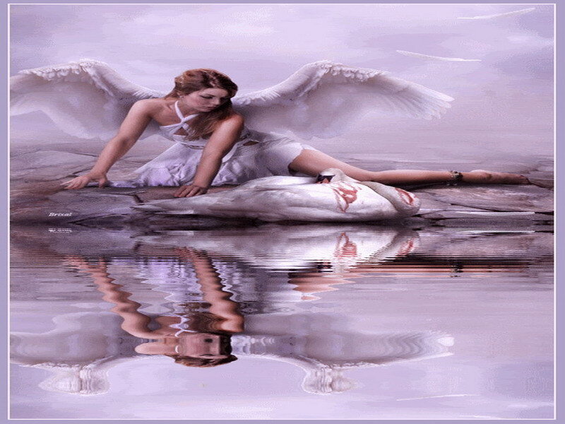 Angel with injured swan
