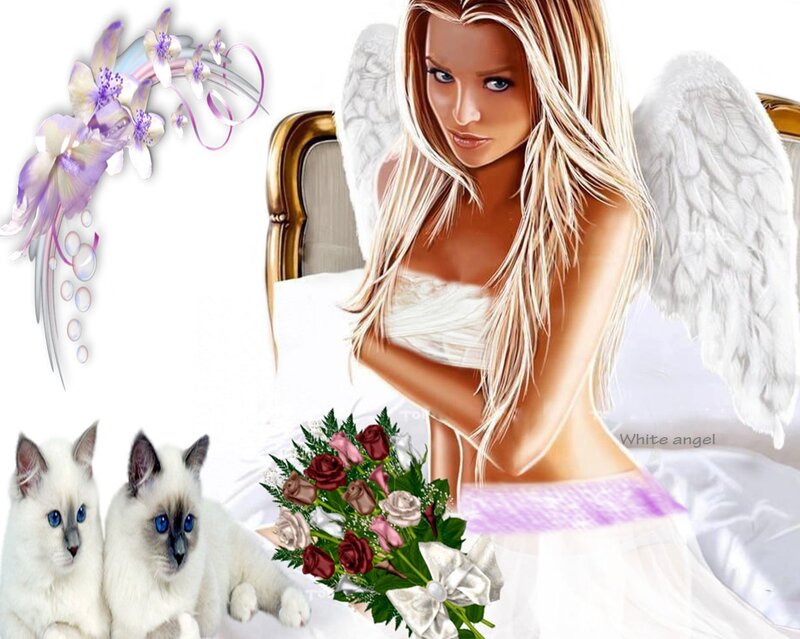 Angel with Kittens
