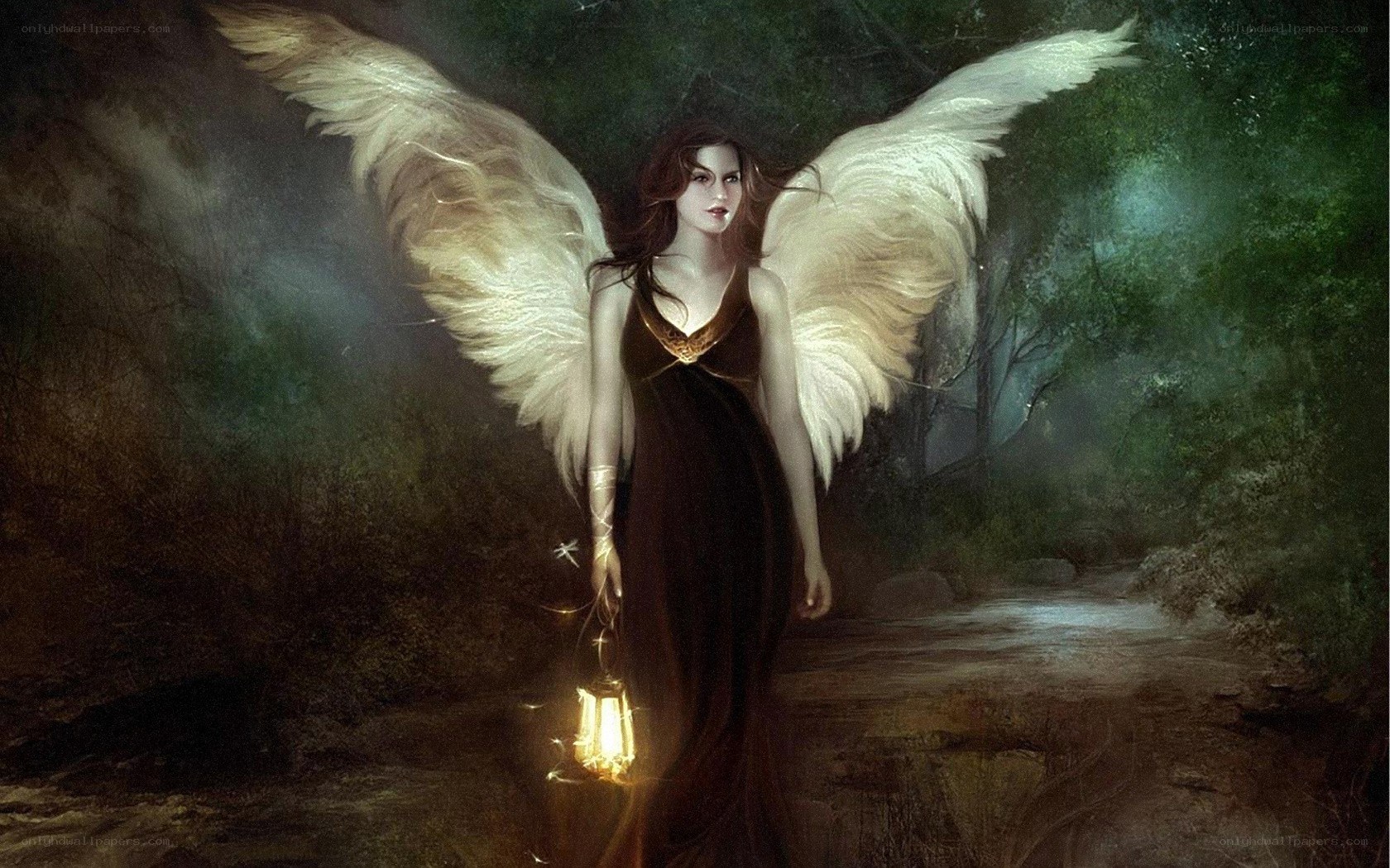 angel with lantern in forest